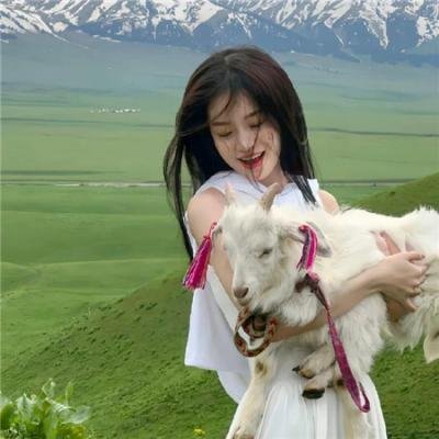 九里香